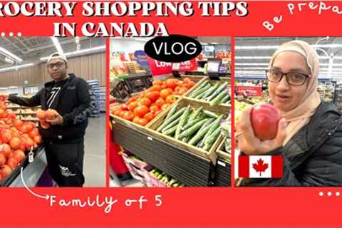 GROCERY PRICES IN CANADA 🇨🇦 2023 || INFLATION IN CANADA 🇨🇦 || GROCERY SHOPPING VLOG WALMART..