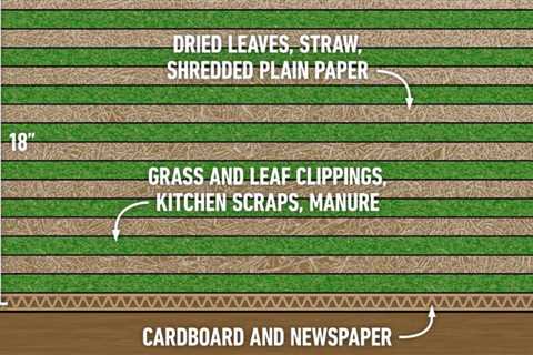 What Is Lasagna Gardening?