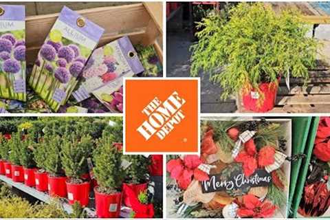 Home Depot November Inventory Holiday Plants, Holiday Decor &amp; Clearance Bulbs 2023. Plant..