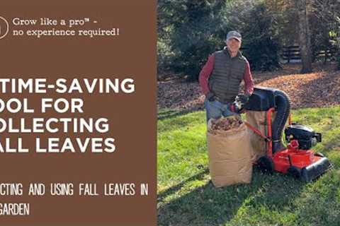 A Time-Saving Tool for Collecting Fall Leaves | DR Power Walk-Behind Leaf &amp; Lawn Vacuum