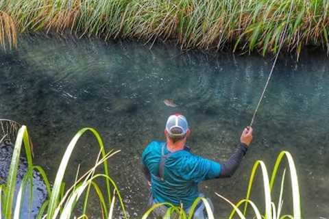 NEW ZEALAND FLY FISHING AT IT'S BEST!!