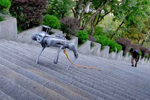 Unitree Unveils Upgraded B2 Quadruped Robot to Compete with Boston Dynamics