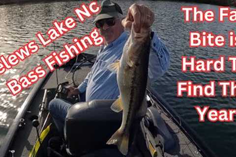 Belews Lake NC Fall Bass Fishing.  Nov 2023