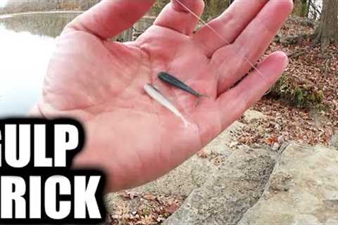 Fishing With HALF of a GULP Minnow (Creek Fishing Trick to Catch Fish)