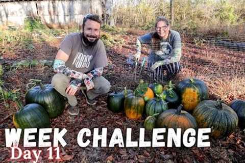 The Tobacco Barn Used As Intended on Day 11 of our 2 Week Challenge