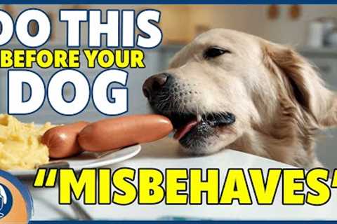 Make Dog Training Easy! Quick Guide To Antecedent Arrangements #245 #podcast