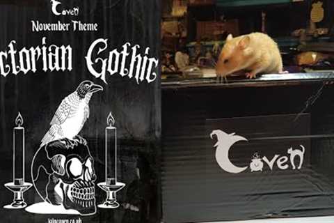 Coven - November 2023 - Victorian Gothic Unboxing - Monthly Subscription Box Aesthetic Poe Raven