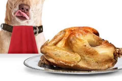 10 Holiday Foods That Are Dangerous For Pets