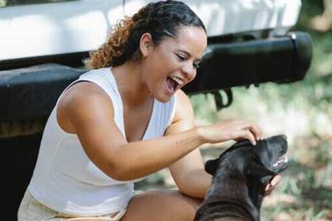8 Tips for Planning a Pet-Friendly Vacation to Pigeon Forge