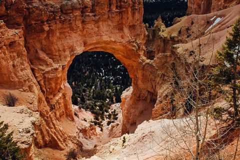 What and Where to Eat at Bryce Canyon?