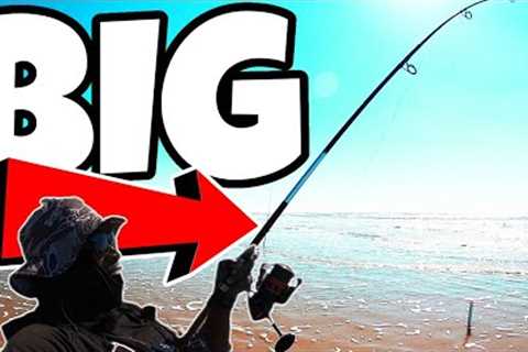 HOW I CAUGHT the BIGGEST FISH of MY LIFE {Catch and Cook}