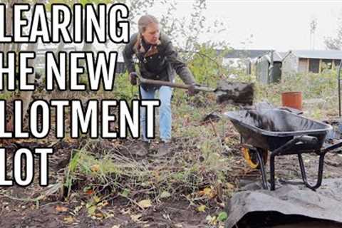 CLEAR MY NEW ALLOTMENT PLOT WITH ME / ALLOTMENT GARDENING FOR BEGINNERS