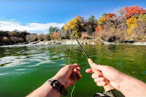 RIVER TROUT FISHING | Camp Fire Catch &amp; Cook