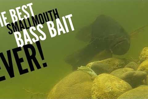 The Best Smallmouth Bass Bait Ever! #shorts