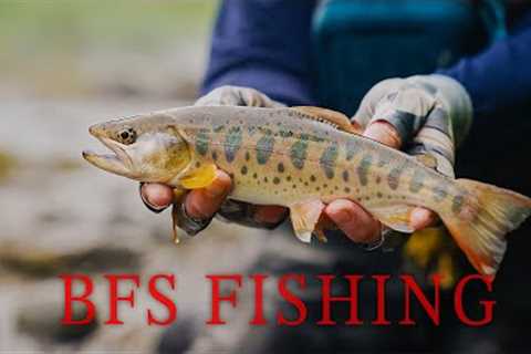 Extreme BFS Fishing For Japan's Most Prized Fish!!! Epic BFS Adventure!