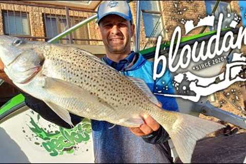 14 GRUNTERS IN ONE DAY FISHING SOUTH AFRICA