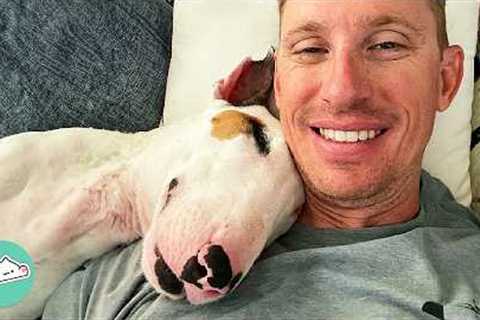 Bull Terrier Becomes Dad's Shadow And Follows Him 24/7 | Cuddle Buddies