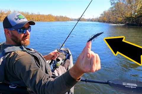 this LITTLE lure made a HUGE difference...