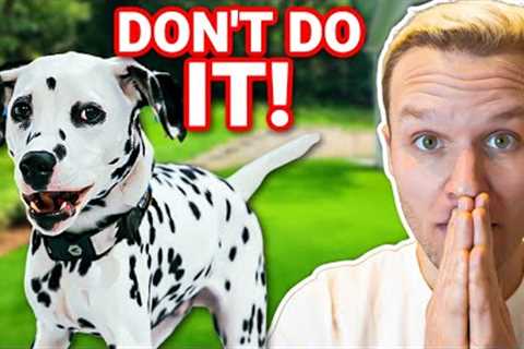 THIS IS EXACTLY WHY YOUR DOG WON'T LISTEN TO YOU!