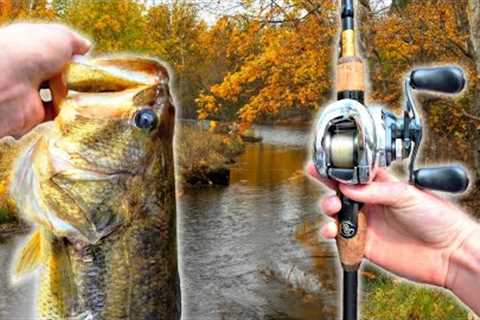 Fishing An Alligator INFESTED Lake For GIANT Fall Bass (Crazy Catch)