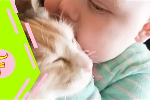 Baby and Cat Fun and Cute - Funny Baby Video
