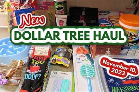 Fun DOLLAR TREE HAUL!  Fun Finds!  November 10, 2023