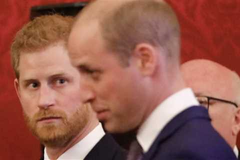 Prince William Accused of Dealing Final Blow to Brotherly Bond with Prince Harry, New Book Claims