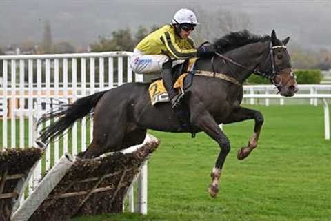 BURDETT ROAD lays down Triumph Hurdle marker at Cheltenham