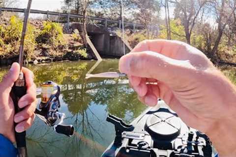 3 Hours of RAW and UNCUT Ultralight Fishing with Gulp Minnows | Melton Hill Lake
