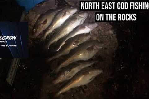 North east cod fishing from the rocks at low tide