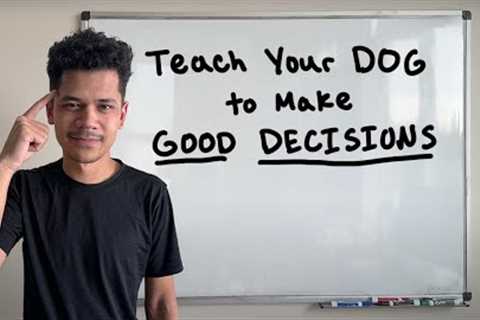 Teaching Your DOG to Make Good Decisions