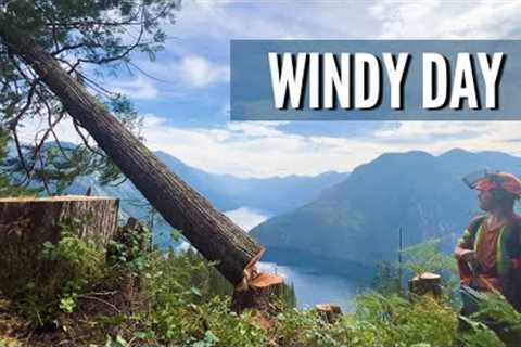 Unique Mountain Smells | Battling Wind | Loggers Forum - Trigvi