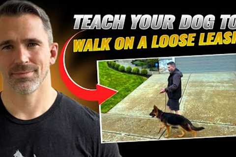 Teaching Your Dog How to Walk Nicely on Leash!