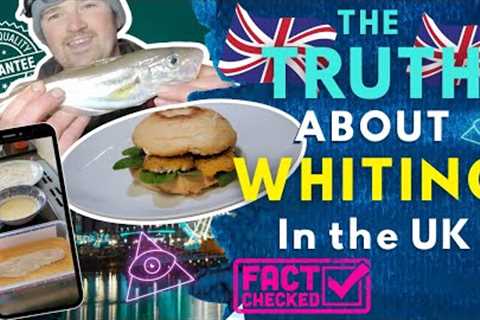 Best TakeAway Ever? Whiting Burger - How to Catch &amp; Cook UK Whiting