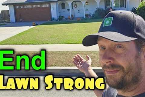 DON'T End Your Lawn Season UNTILL... ~ November Lawn Care UNSCRIPTED
