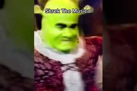 The Most Expensive Musical of All Time? #singer #musical #shorts