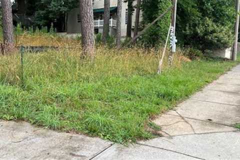 Neighbors fed up with property owner not maintaining their lawn