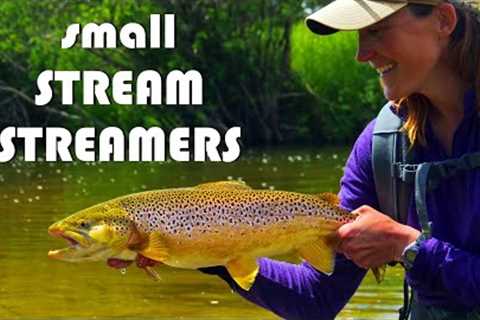 Fly Fishing Streamers on Small Trout Streams - Tips &amp; Tactics of Drawing Trout to Small..