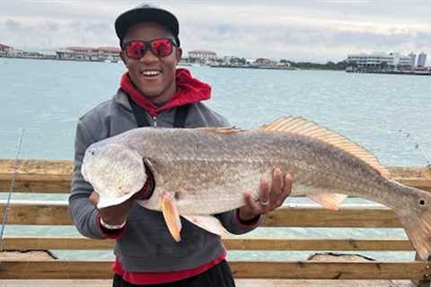 Fishermen Each Crush Their Personal Best Giant Saltwater Fish Records Fishing HERE!!