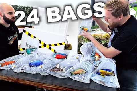 FIRST HUGE Fish Unboxing for NEW Aquariums!!