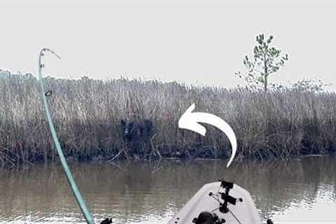 This WILD HOG Came Out Of Nowhere While I Was Catching Fish In My New Boat!