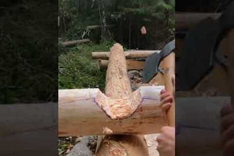 Building A Log Cabin Alone ep 3