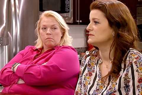 Sister Wives Christine and Janelle Brown Blame Robyn for Family Issues