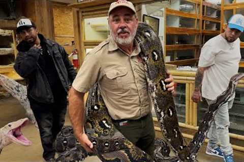 GIANT SNAKES AT THE REPTILE ZOO😳
