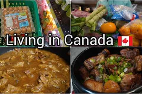 Grocery shopping | Braised pork with Coca-cola | Egg cheese toast | Chinese beef stew