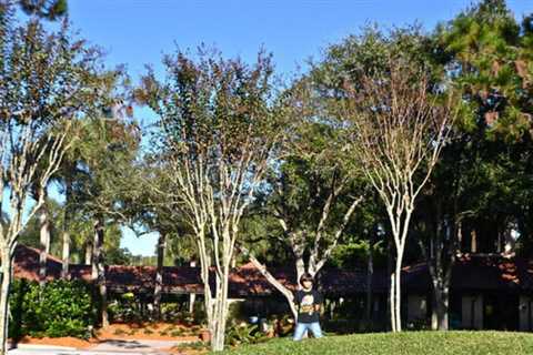 Villas of Grand Cypress Review: A Splurge That Everyone Needs to Take