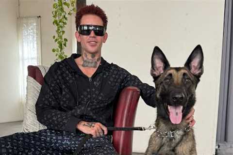 Fear Aggressive German Shepherd, First Session With Dog Daddy.