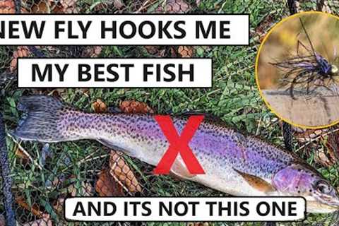 210. NEW FLY = PB Rainbow Trout ? - Fly Fishing UK