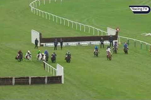 Incredible renewal of the Cheltenham Shetland Pony Race