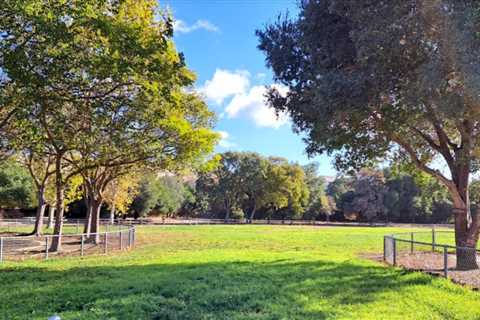 Gorgeous Day After The Rain